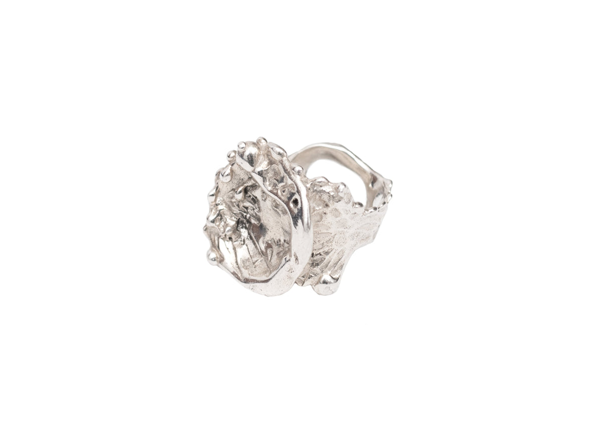 Birthing Venus Ring Di Petsa 